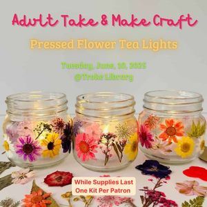 Adult Take n Make Cr